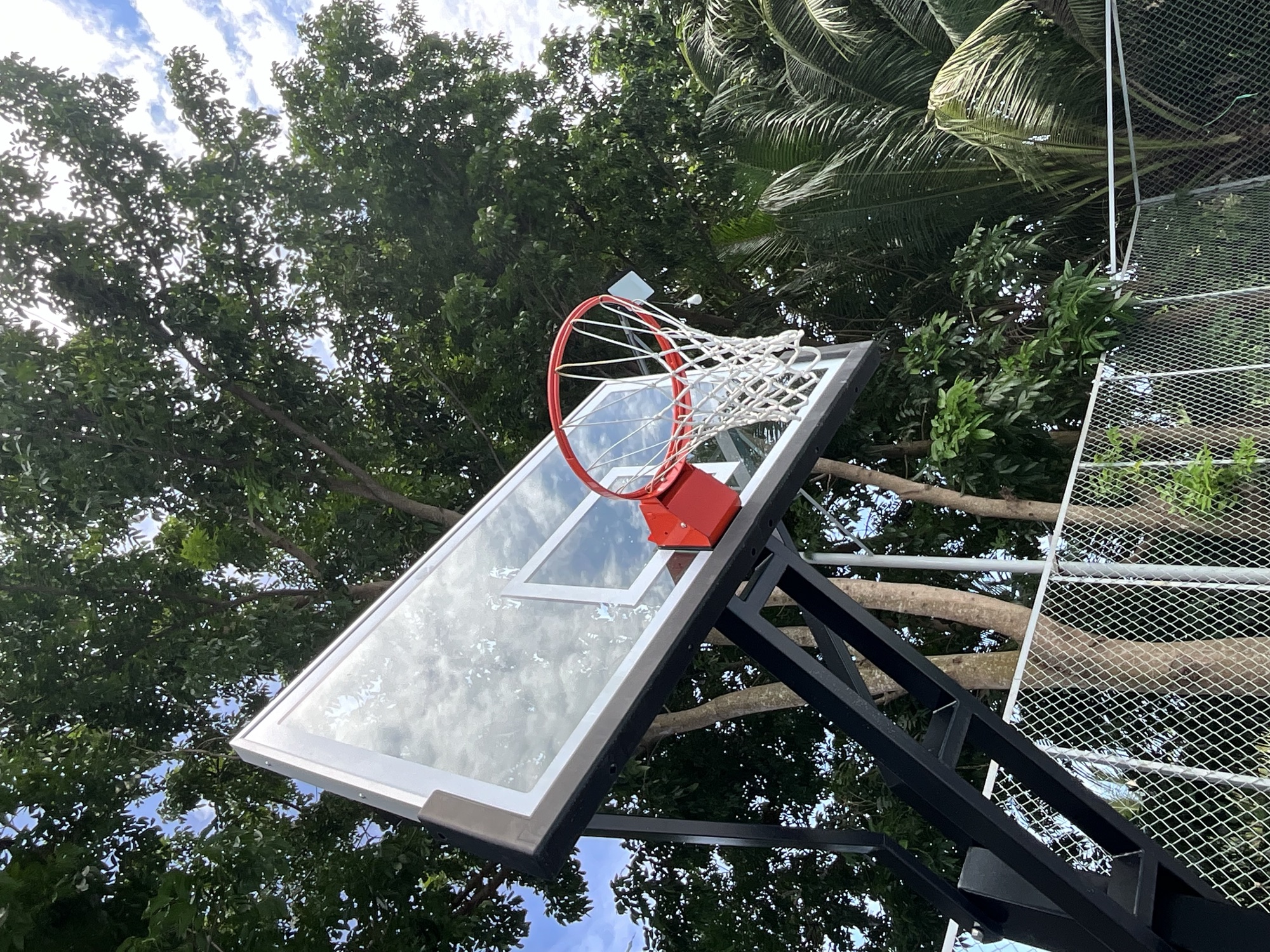 The ring and glass backboard seen from below