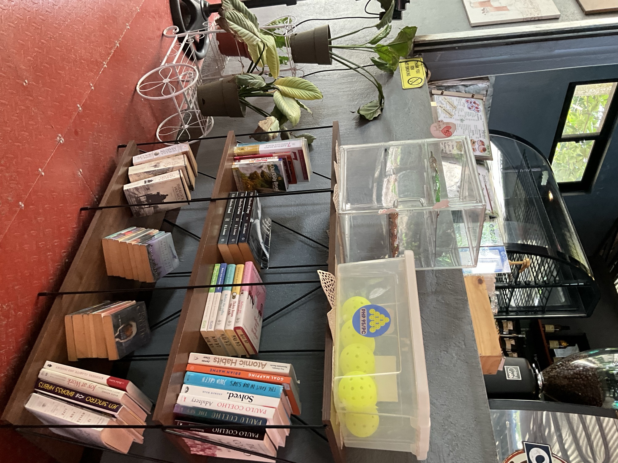 Shelves of books and plants in the corner of the cafe