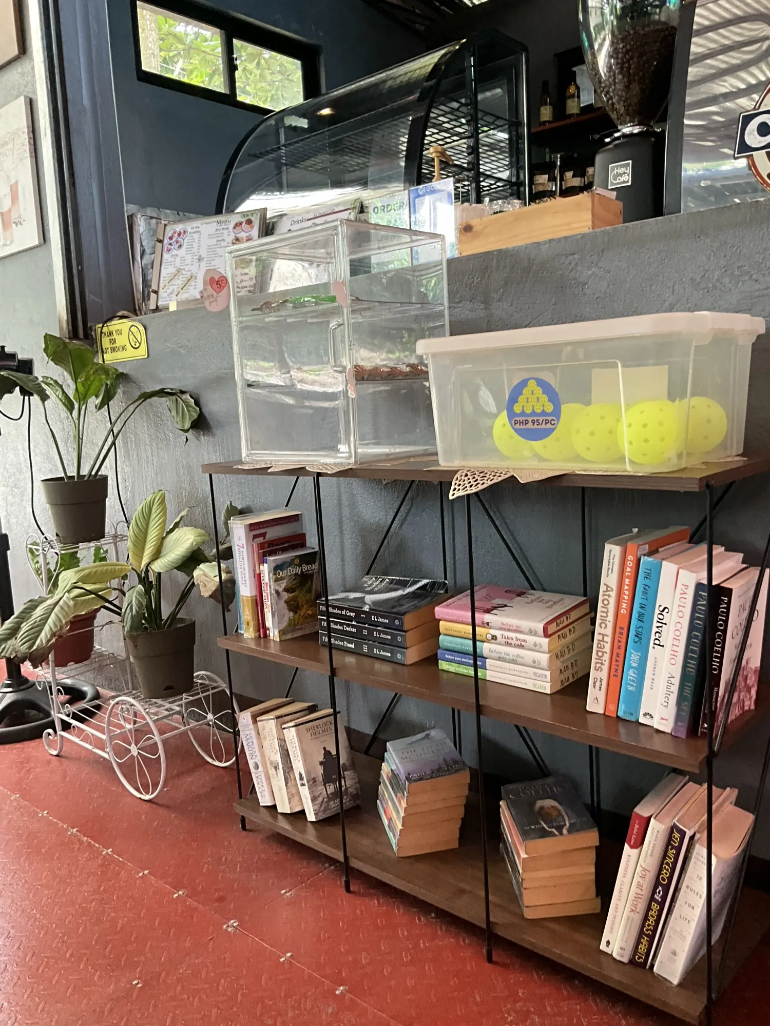 Shelves of books and plants in the corner of the cafe