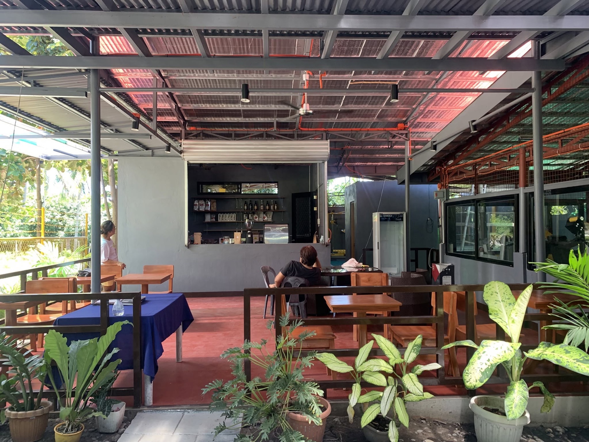 Daytime seating with plants and blue-topped tables