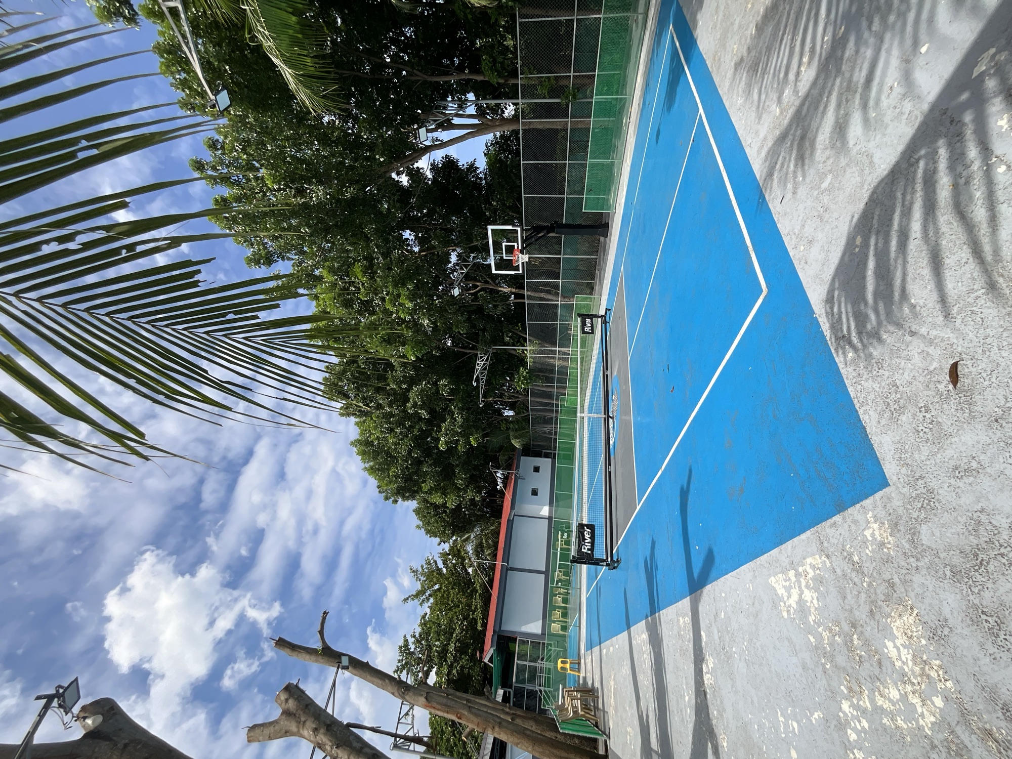 Blue court seen past a palm, with a ring at the far end