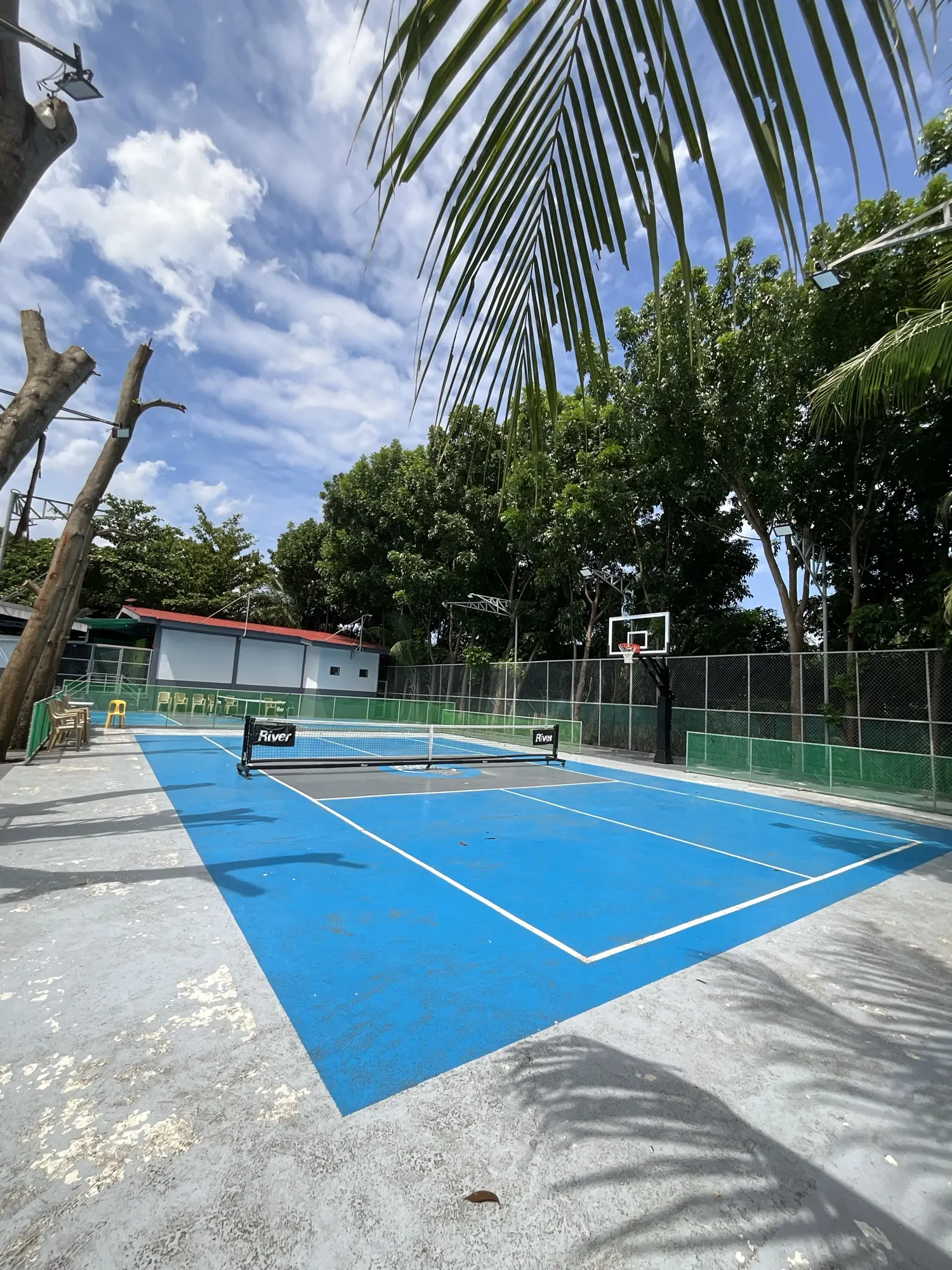 Blue court seen past a palm, with a ring at the far end