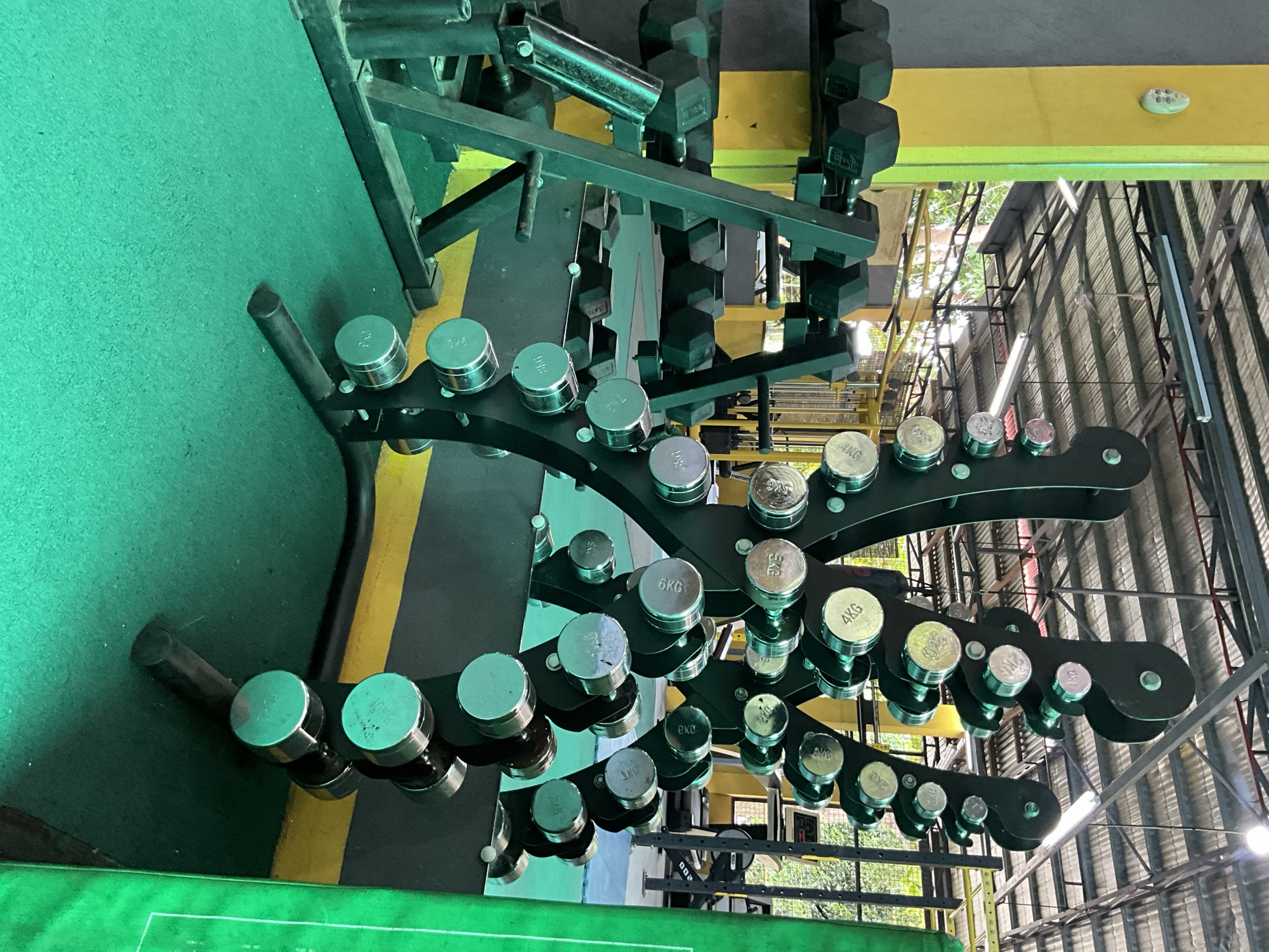 Hex dumbbells racked in order