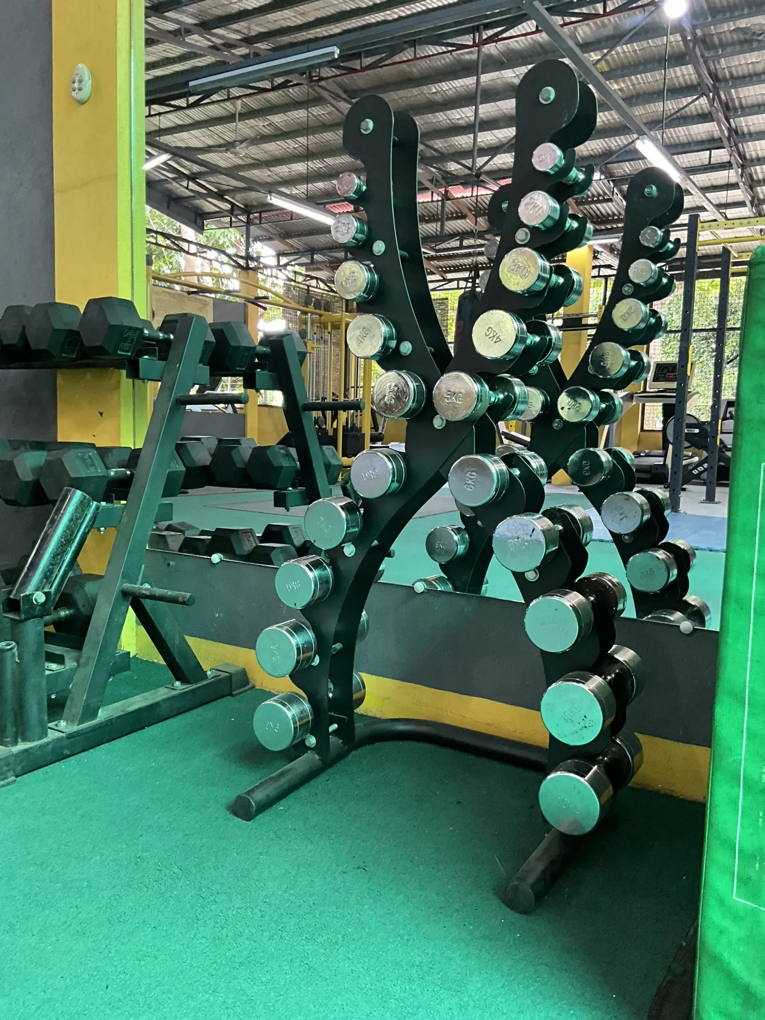 Hex dumbbells racked in order