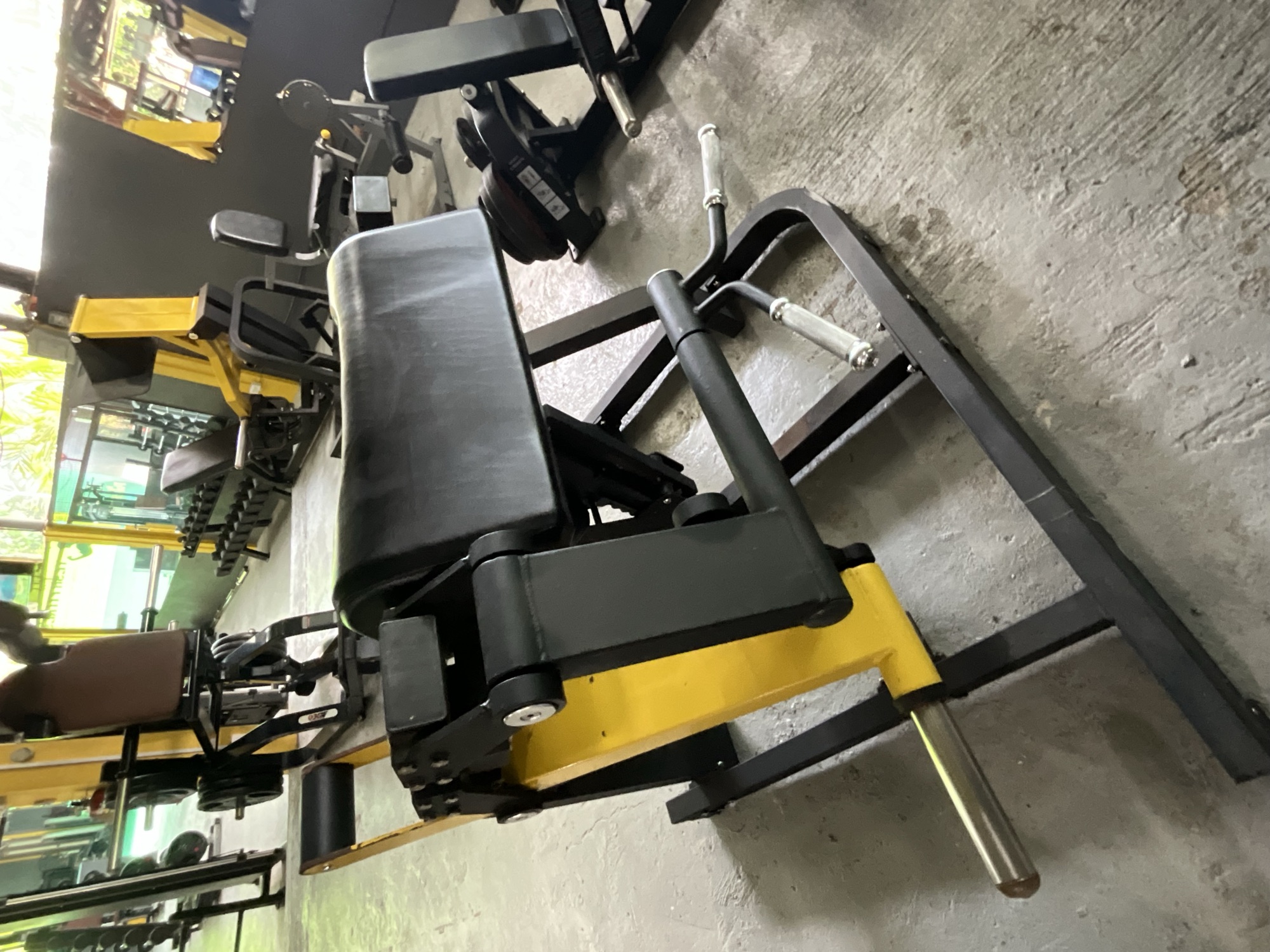 Row of yellow and black plate-loaded gym machines