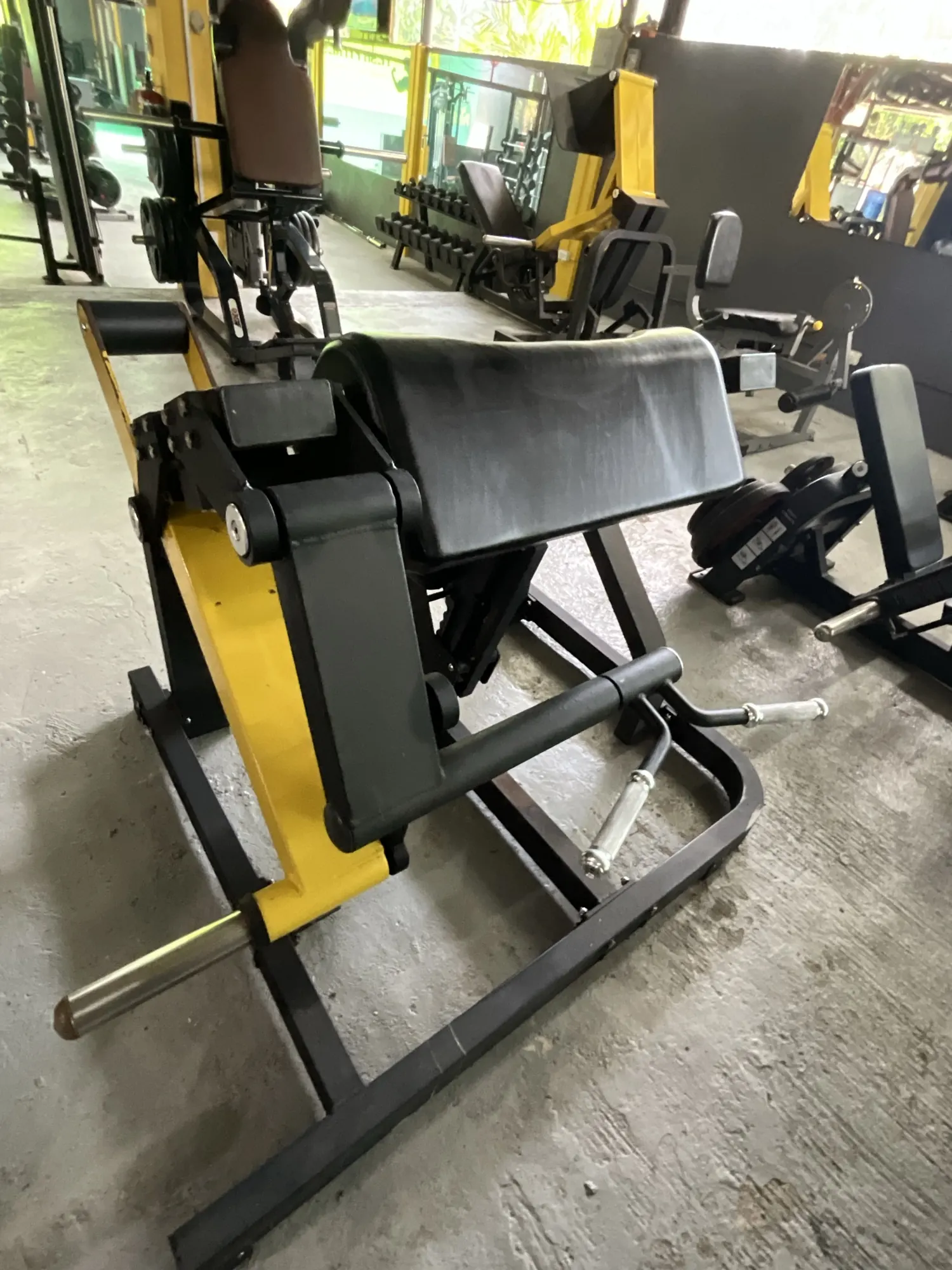 Row of yellow and black plate-loaded gym machines