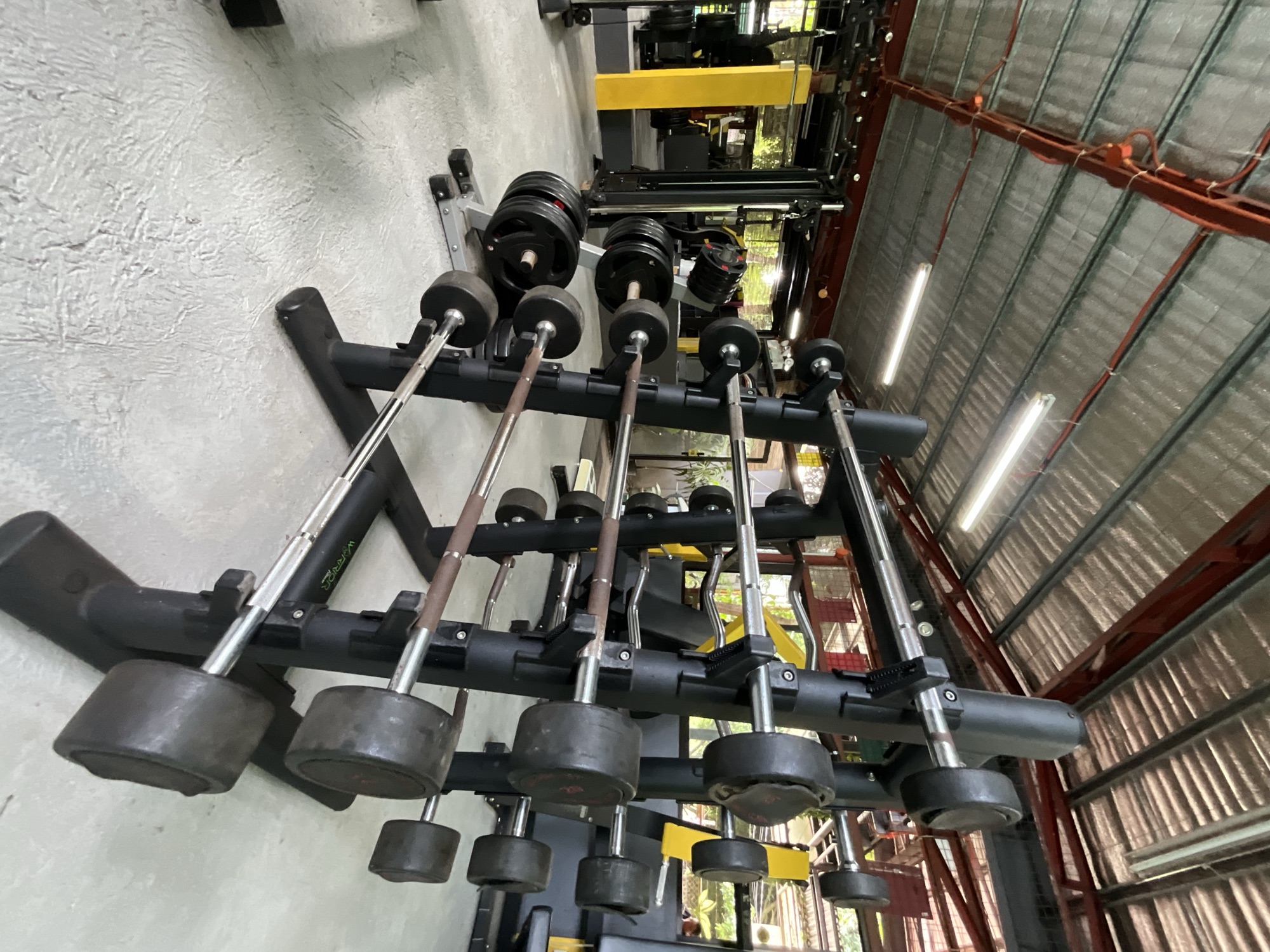 Loaded barbells and weight plates on a rack