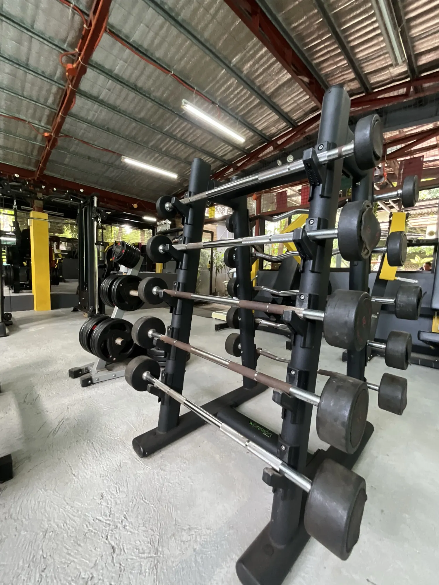 Loaded barbells and weight plates on a rack