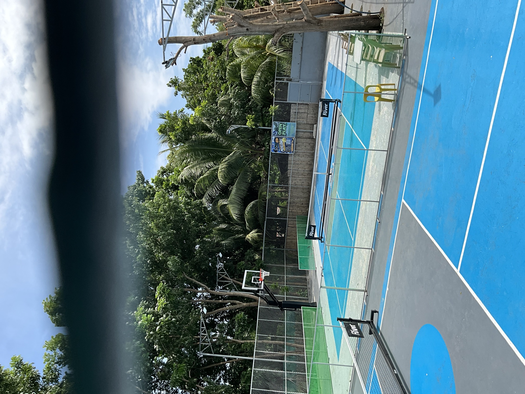 Wide view of both pickleball courts with nets up and palm trees behind the fence