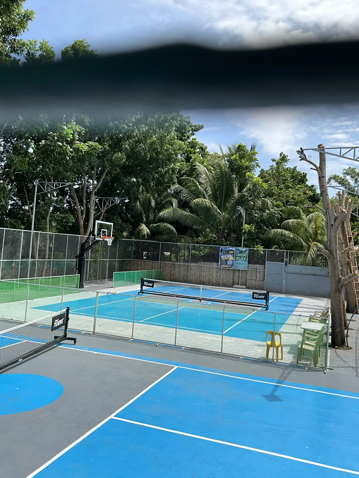 Wide view of both pickleball courts with nets up and palm trees behind the fence